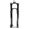 Horquilla Sr suntour Raidon RL R29 15x110mm 32mm negro