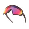 Lente Oakley Wind Jacket 2.0 Montura Matte Grenache - Imagen 4