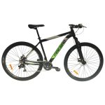Bicicleta R29 MTB alum. 21v Fire Bird Col-Raiser 20/L.Negro, gris y verde