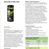 Suplemento deportivo - Biocreatina 300 monohidrato Bio Green - Imagen 2