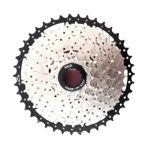 Piñon cassette 10C Wkns 11-42