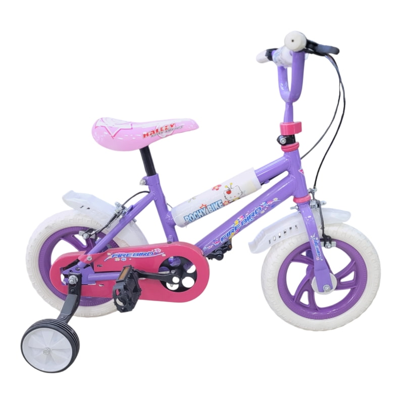 PhotoRoom-20251108_101110-min Bicicleta R12 Paseo acero - Fire bird - Halley - Imagen 1