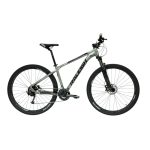Bicicleta R29 Alum 24V Raleigh Mojave 4.5 M/17