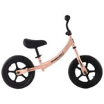 Bicicleta R12 Camicleta Rembrandt