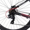 Bicicleta R29 MTB alum. 21v Venzo Skyline 18/M GG.Shimano H. - Imagen 4