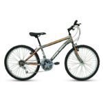 Bicicleta R24 MTB acero 18v Fire Bird Power F.V-Brake Gris, naranja y blanco