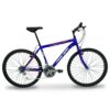 Bicicleta R24 MTB acero 18v Fire Bird Power F.V-Brake