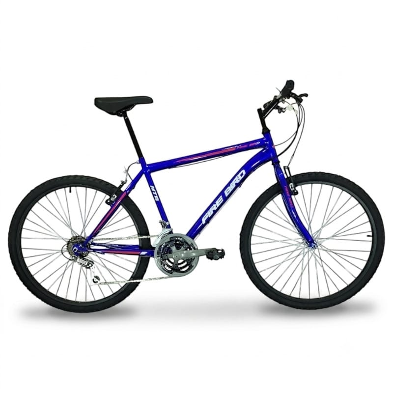 WhatsApp Image 2026-07-28 at 18.32.07 (3) Bicicleta R24 MTB acero 18v Fire Bird Power F.V-Brake - Imagen 1