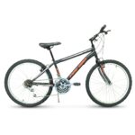 Bicicleta R24 MTB acero 18v Fire Bird Power F.V-Brake Negro, rojo y blanco