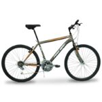 Bicicleta R26 MTB acero 18v Fire Bird F.V-Brake Gris, blanco y naranja