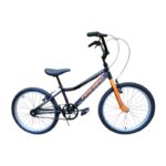 Bicicleta R20 Cross Fire Bird Rocky Negro, naranja y gris