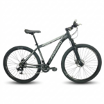 Bicicleta R29 MTB alum. 21v Fire Bird Col- Raiser 18/M. Color Negro, Gris y rojo